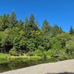 Myrtle Point Wildlife Area - Coos Bay