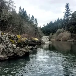 Myrtle Point Wildlife Area - Coos Bay