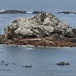 Shore Acres State Park - Coos Bay
