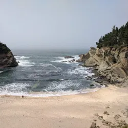Shore Acres State Park - Coos Bay