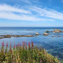 Shore Acres State Park - Coos Bay