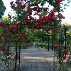 Avery Park and Natural Area - Corvallis