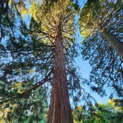 Avery Park and Natural Area - Corvallis