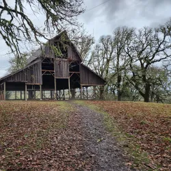 Bald Hill Natural Area - Corvallis