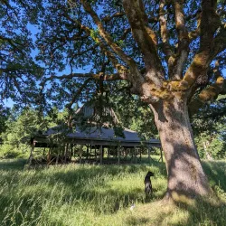 Bald Hill Natural Area - Corvallis