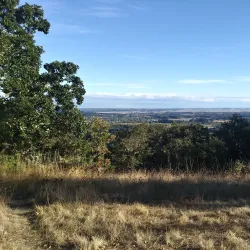 Bald Hill Natural Area - Corvallis