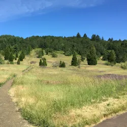 Bald Hill Natural Area - Corvallis