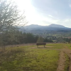 Bald Hill Natural Area - Corvallis