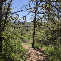 Bald Hill Natural Area - Corvallis