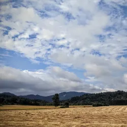 Bald Hill Natural Area - Corvallis