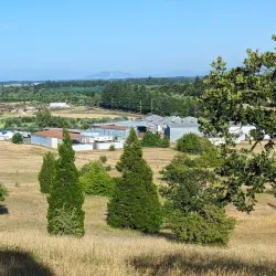 Bald Hill Natural Area - Corvallis