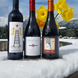 Cardinal Crest Vineyard - Corvallis