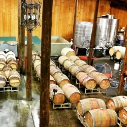 Cardinal Crest Vineyard - Corvallis