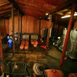 Cardinal Crest Vineyard - Corvallis