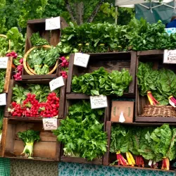 Corvallis Farmers' Market - Corvallis