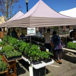 Corvallis Farmers' Market - Corvallis