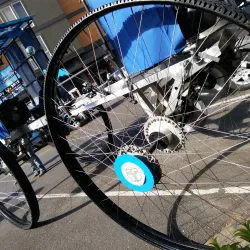 Corvallis Farmers' Market - Corvallis