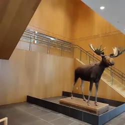 Corvallis Museum - Corvallis