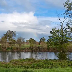 Oregon State University - Corvallis