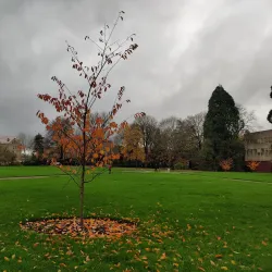 Oregon State University - Corvallis