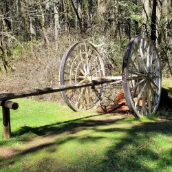 Peavy Arboretum - Corvallis