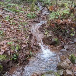 Peavy Arboretum - Corvallis