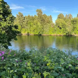 Riverfront Commemorative Park - Corvallis