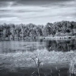 Fern Ridge Reservoir - Creswell