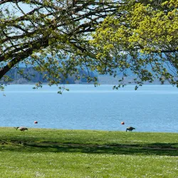 Fern Ridge Reservoir - Creswell
