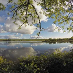 Fern Ridge Reservoir - Creswell