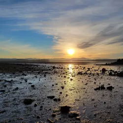 Fern Ridge Reservoir - Creswell