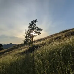 Mount Pisgah Arboretum - Creswell