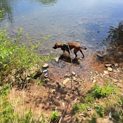 Row River Trail - Creswell