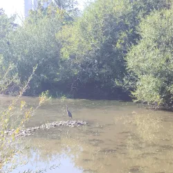 Row River Trail - Creswell