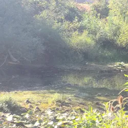 Row River Trail - Creswell