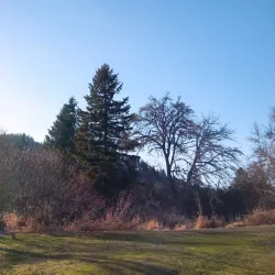 Row River Trail - Creswell