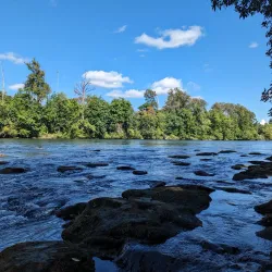 Skinner Butte Park - Creswell