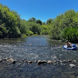 Willamette River - Creswell