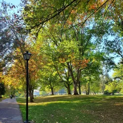 Willamette River Bike Path - Eugene