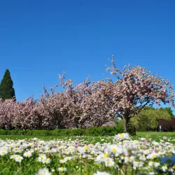 Blue Lake Regional Park - Fairview