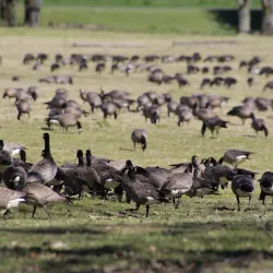 Blue Lake Regional Park - Fairview