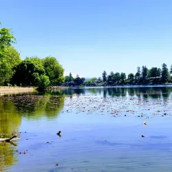 Blue Lake Regional Park - Fairview