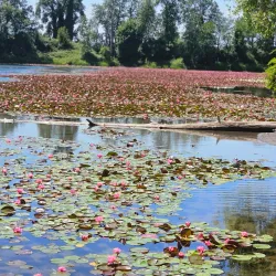Blue Lake Regional Park - Fairview