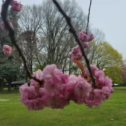 Blue Lake Regional Park - Fairview
