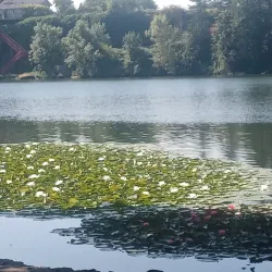 Blue Lake Regional Park - Fairview