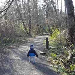 Fairview City Hall and Community Center - Fairview