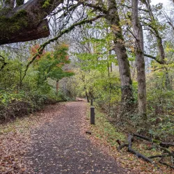 Fairview Community Park - Fairview