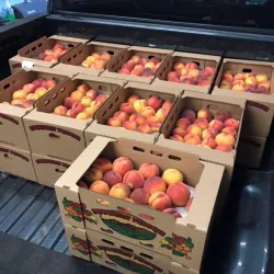 Fairview Farmers Market - Fairview