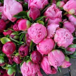 Fairview Farmers Market - Fairview