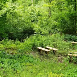 Fairview Historical Society Museum - Fairview